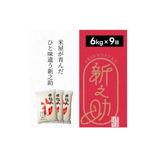 ふるさと納税 米 新潟県 阿賀野市 令和7年産新米 9ヶ月定期便 特別栽培米 新之助 6kg (2kg×3袋)×9回 米杜氏 壱成 氷温熟成 白米 精米 大粒 つや 光沢 弾力 …
