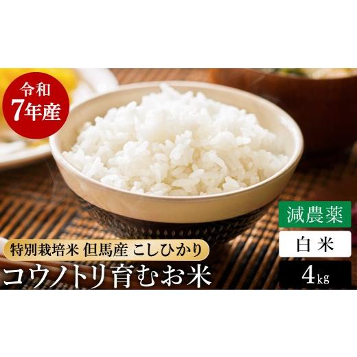ふるさと納税 米 コシヒカリ 兵庫県 豊岡市 令和7年産 減農薬 白米 特別栽培米 4kg コウノトリ育むお米 但馬産 こしひかり 兵庫県産(2kg×2袋)(94-003)減農…