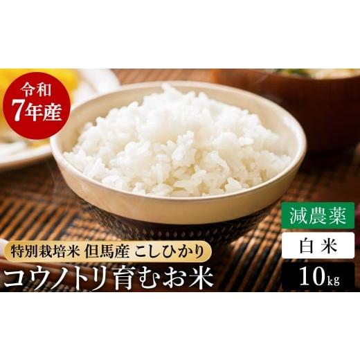 ふるさと納税 米 コシヒカリ 兵庫県 豊岡市 令和7年産 減農薬 白米 特別栽培米 10kg コウノトリ育むお米 但馬産 こしひかり 兵庫県産(5kg×2袋)(94-004)減農…