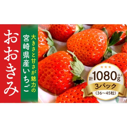 ふるさと納税 いちご 宮崎県 宮崎市 [2026年発送] 数量・期間限定 宮崎県産いちご「おおきみ」3パック(計1080g以上:36粒〜45粒)_M260-011 53,000円 3パック…