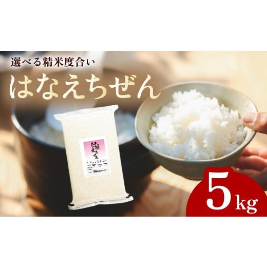 ふるさと納税 米 徳島県 海陽町 先行予約 はなえちぜん 白米 5kg 真空パック ハナエチゼン 米 簡易梱包 エコ梱包 8月下旬以降順次お届け