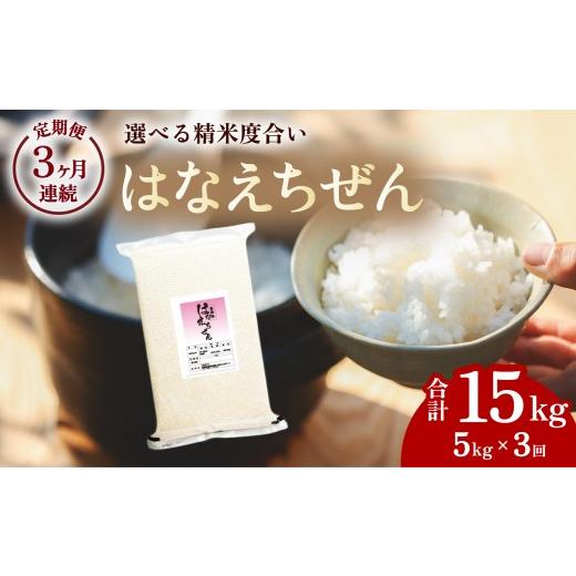 ふるさと納税 米 徳島県 海陽町 先行予約 はなえちぜん 白米 5kg×3回 3ヶ月連続 定期便 15kg 真空パック ハナエチゼン 米 簡易梱包 エコ梱包 8月下旬以降順…