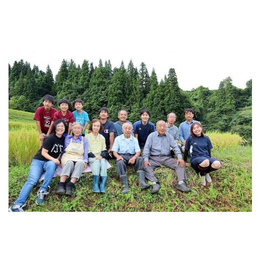 ふるさと納税 新潟県 十日町市 【定期便／全6回】無洗米10kg　新潟県魚沼産コシヒカリ「山清水米」(5kg×2袋)