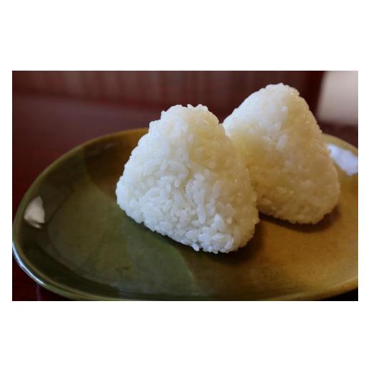 ふるさと納税 新潟県 十日町市 【定期便／全6回】無洗米10kg　新潟県魚沼産コシヒカリ「山清水米」(5kg×2袋)