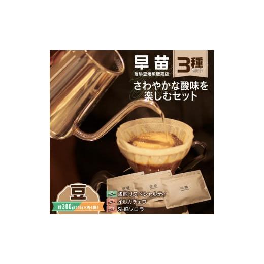 ふるさと納税 コーヒー コーヒー豆 東京都 新宿区 早苗 焙煎珈琲豆(さわやかな酸味を楽しむセット 3種×各100g)豆 スペシャルティコーヒー 珈琲 セット 3…
