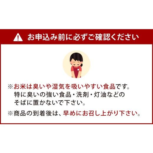 ふるさと納税 米 福岡県 北九州市  令和7年産 精米 食味鑑定士厳選 夢つくし 20kg（5kg×4袋） 準備でき次第順次発送 お米 精米 米 夢つくし ご飯 ごはんの画像