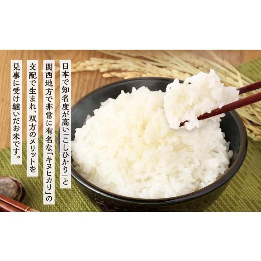 ふるさと納税 米 福岡県 北九州市  令和7年産 精米 食味鑑定士厳選 夢つくし 20kg（5kg×4袋） 準備でき次第順次発送 お米 精米 米 夢つくし ご飯 ごはんの画像