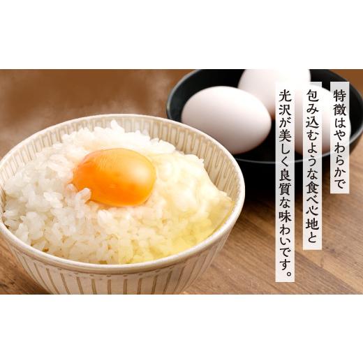 ふるさと納税 米 福岡県 北九州市  令和7年産 精米 食味鑑定士厳選 夢つくし 20kg（5kg×4袋） 準備でき次第順次発送 お米 精米 米 夢つくし ご飯 ごはんの画像