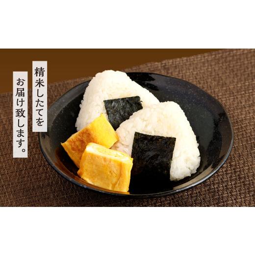 ふるさと納税 米 福岡県 北九州市  令和7年産 精米 食味鑑定士厳選 夢つくし 20kg（5kg×4袋） 準備でき次第順次発送 お米 精米 米 夢つくし ご飯 ごはんの画像