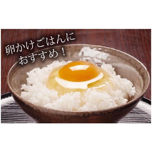 ふるさと納税 卵（鶏、烏骨鶏等） 茨城県 坂東市 たまご好きが唸る