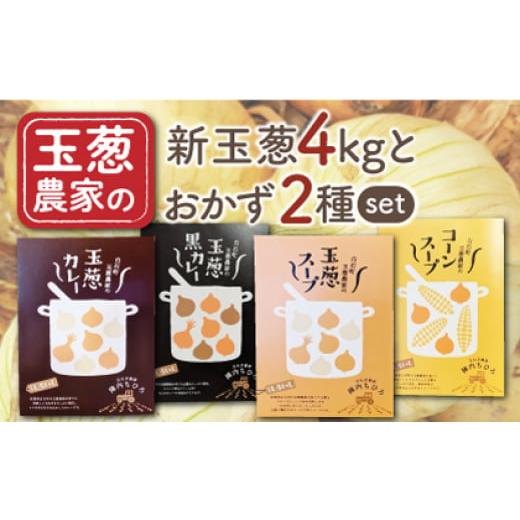 ふるさと納税 野菜類 玉ねぎ 佐賀県 白石町 先行予約 農家直送 新玉葱4kg と 選べるおかず2種 Aセット 玉葱農家 陣内ちひろ 九州 佐賀県 白石町 IAO024 Aセッ…