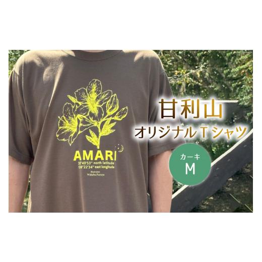 ふるさと納税 服 男 山梨県 韮崎市 トップス 甘利山 オリジナル Tシャツ ( カーキ )Mサイズ 甘利山グリーンロッジ 山梨県 韮崎市 20744962 半袖 レディース …
