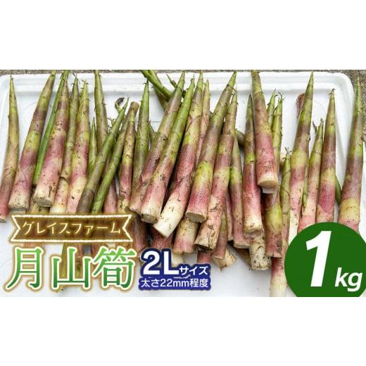 ふるさと納税 野菜類 山菜 山形県 鶴岡市  令和8年産先行予約 月山筍 2Lサイズ 1kg 山形県鶴岡産 グレイスファームの画像