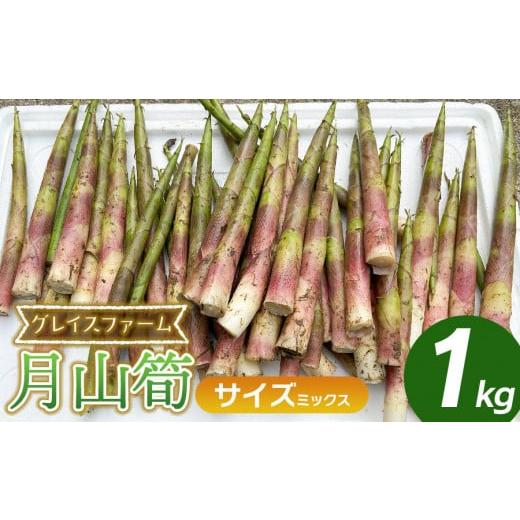 ふるさと納税 野菜類 山菜 山形県 鶴岡市  令和8年産先行予約 月山筍 ミックスサイズ 1kg 山形県鶴岡産 グレイスファームの画像