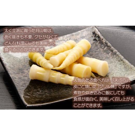 ふるさと納税 野菜類 山菜 山形県 鶴岡市  令和8年産先行予約 月山筍 ミックスサイズ 1kg 山形県鶴岡産 グレイスファームの画像
