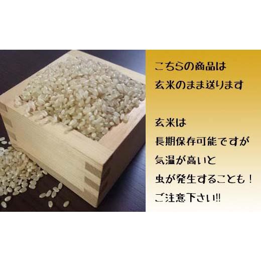 ふるさと納税 北海道 岩見沢市 令和5年産北海道岩見沢市産　ななつぼし玄米30kg≪沖縄・離島配送不可≫【35032】｜furusatochoice｜04