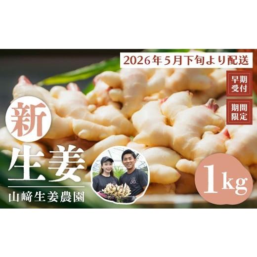 ふるさと納税 人参・大根・他根菜 高知県 四万十市 早期受付 期間限定 みずみずしさがたまらない 新生姜 約1kg 2026年5月下旬〜9月上旬配送 高知県 高知 四万…