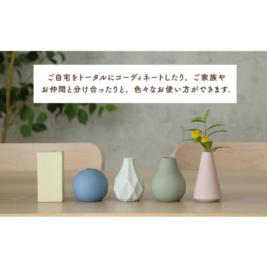 ふるさと納税 食器・グラス 岐阜県 土岐市  美濃焼 piccola（ピッコラ） 一輪挿し カラフル 5点セット 金新製陶所 花瓶 雑貨 インテリア MDG022_2