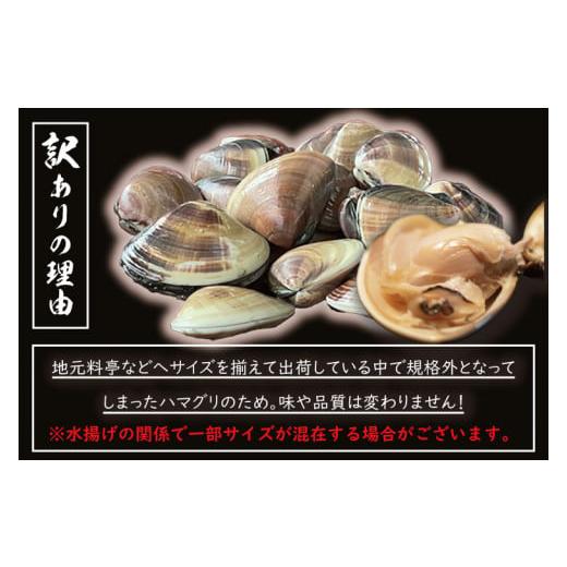 ふるさと納税 茨城県 大洗町 期間限定 鹿島灘 ハマグリ 訳あり 2kg 砂抜き済み はまぐり 蛤 わけあり 国産 天然 茨城県産 鹿島灘産 焼き蛤 BBQ おせち お雑煮 …｜furusatochoice｜04