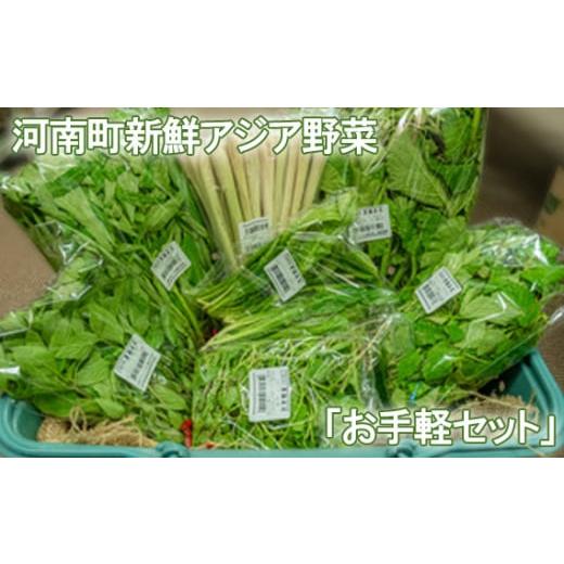 ふるさと納税 セット・詰合せ 大阪府 河南町 河南町新鮮アジア野菜「お手軽セット」 ／ 唐辛子 パクチー バジル 大阪府 No.332 野菜セット 新鮮 香り 空芯菜 …の画像