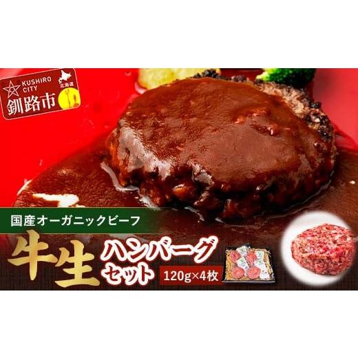 ふるさと納税 牛肉 ハンバーグ 北海道 釧路市 12月発送 釧路生まれ、釧路育ちのオーガニックビーフ 生ハンバーグ120g×4枚 ふるさと納税 肉 F4F-3385 12月発送