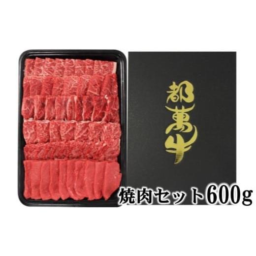 ふるさと納税 宮崎県 西都市 都萬牛 黒毛和牛焼肉 600g 牛肉 焼肉[2-24] 決済完了より30日以内の発送