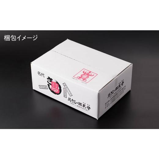 ふるさと納税 熊本県 山鹿市 霜降り馬刺し 計200g（2pc）＋タレ小【馬刺しの郷 民守】 肉 馬肉 馬 熊本県 特産品 霜降り 霜降り馬刺し  [ZBL006]｜furusatochoice｜08