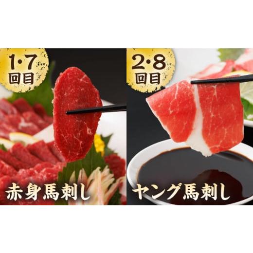ふるさと納税 馬肉 熊本県 山鹿市  12回定期便 毎月違う部位が届く 馬刺しの郷 民守 肉 馬肉 馬 熊本県 特産品 食べ比べ 赤身馬刺し ZBL020の画像