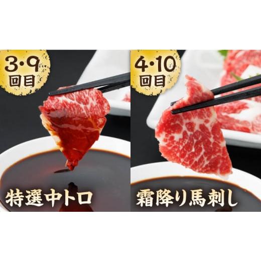 ふるさと納税 馬肉 熊本県 山鹿市  12回定期便 毎月違う部位が届く 馬刺しの郷 民守 肉 馬肉 馬 熊本県 特産品 食べ比べ 赤身馬刺し ZBL020の画像