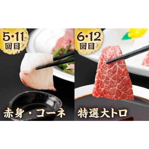 ふるさと納税 馬肉 熊本県 山鹿市  12回定期便 毎月違う部位が届く 馬刺しの郷 民守 肉 馬肉 馬 熊本県 特産品 食べ比べ 赤身馬刺し ZBL020の画像