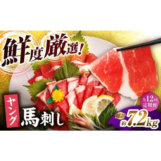 ふるさと納税 馬肉 熊本県 山鹿市  12回定期便 ヤング馬刺し 計600g（6pc）＋タレ大 馬刺し ヤング 馬刺し 馬肉 桜肉 馬 肉 便利 小分け 6パック タレ付き コ…の画像