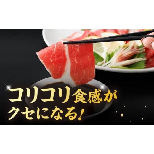 ふるさと納税 馬肉 熊本県 山鹿市  12回定期便 ヤング馬刺し 計600g（6pc）＋タレ大 馬刺し ヤング 馬刺し 馬肉 桜肉 馬 肉 便利 小分け 6パック タレ付き コ…の画像