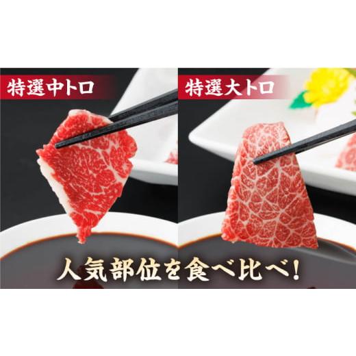 ふるさと納税 馬肉 熊本県 山鹿市  12回定期便 特選霜降り馬刺し 中トロ大トロ2種食べ比べセット 計200g（各1pc）＋タレ小 馬刺し 特選霜降り馬刺し 馬刺し 馬…の画像