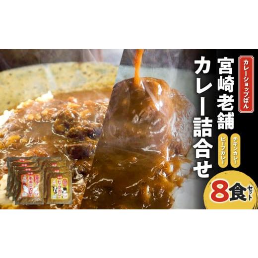 惣菜、料理 ふるさと納税 加工品等 レトルト 宮崎県 宮崎市 カレー 