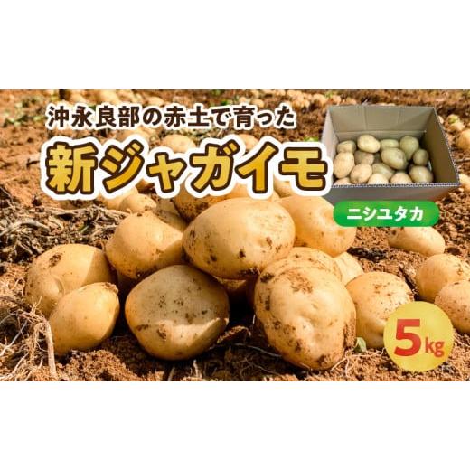 ふるさと納税 野菜類 じゃがいも 鹿児島県 知名町 2026年先行予約 沖永良部の赤土で育った新ジャガイモ 5kg(ニシユタカ)2〜4月お届け C054-001-01