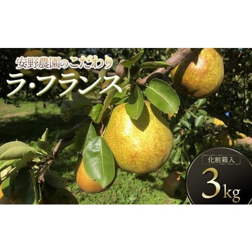 ふるさと納税 梨 山形県 鶴岡市 令和8年産先行予約 安野農園のこだわりラ・フランス 3kg(5〜9玉) 化粧箱入り 山形県鶴岡産 安野農園