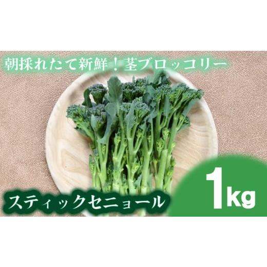 ふるさと納税 人参・大根・他根菜 山口県 下関市 期間限定 スティックセニョール 1kg 茎 ブロッコリー 朝採れ 新鮮 野菜 サラダ お弁当 ピクニック 産地直送 …