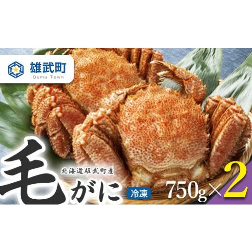 ふるさと納税 カニ 毛ガニ 北海道 雄武町 北海道雄武町産 毛がに(冷凍)(750g×2) 1237101