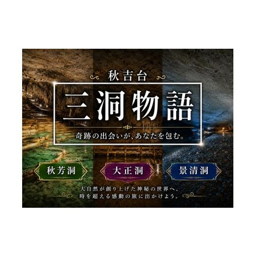 ふるさと納税 イベントやチケット等 山口県 美祢市 三洞周遊共通チケット「秋吉台三洞物語」(大人) | 周遊 入洞 チケット 洞窟 美祢市 美祢 山口県 秋芳洞 …