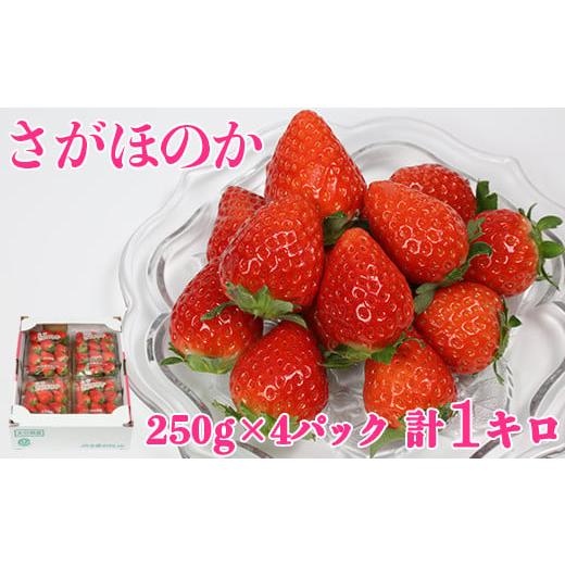 ふるさと納税 いちご 大分県 杵築市 1月発送 さがほのか 約1kg(約250g×4パック)/ いちご イチゴ 1kg 先行予約 1月 フルーツ 苺 133-211 1月発送