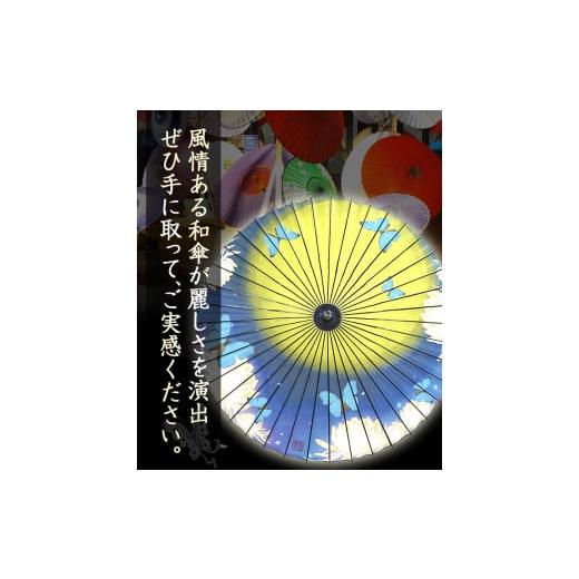 ふるさと納税 ファッション 徳島県 美馬市 美馬和傘 デザイン日傘 花鳥風月 限定1本 假屋崎省吾さんデザイン 美馬和傘製作集団《30日以内に出荷予定(土日祝除…の画像