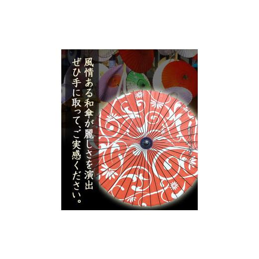 ふるさと納税 ファッション 徳島県 美馬市 美馬和傘 デザイン日傘 草木 限定1本 假屋崎省吾さんデザイン 美馬和傘製作集団《30日以内に出荷予定(土日祝除く)》…の画像