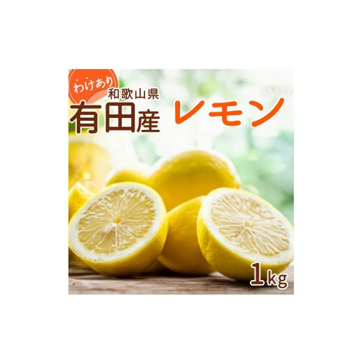 ふるさと納税 みかん・柑橘類 レモン 和歌山県 湯浅町 DI6052_ 2026年先行予約 和歌山県 有田産 レモン 約1kg 訳あり