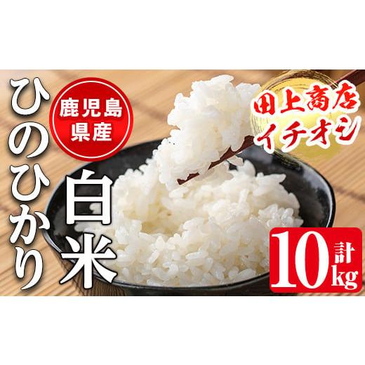 ふるさと納税 鹿児島県 出水市 i879-A ≪毎月数量限定≫鹿児島県産米ひのひかり 白米(計10kg・5kg×2袋) 米 お米 10kg 白米 ヒノヒカリ 自家精米 精米 おにぎ…