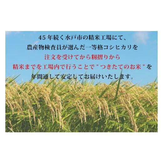 ふるさと納税 茨城県 水戸市 CZ-108　【令和5年産】茨城県産コシヒカリ 宝蔵米 20kg｜furusatochoice｜03