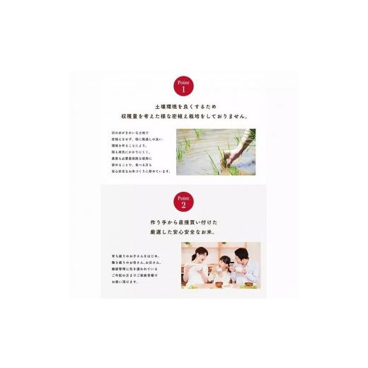 ふるさと納税 米 あきたこまち 秋田県 潟上市  定期便6回 白米 秋田県産 あきたこまち5kg×6か月 白米 秋田県産 あきたこまち5kg×6か月_5