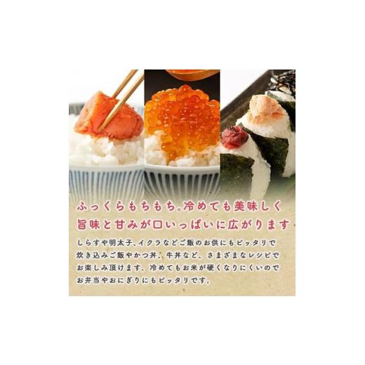 ふるさと納税 米 あきたこまち 秋田県 潟上市  定期便6回 白米 秋田県産 あきたこまち5kg×6か月 白米 秋田県産 あきたこまち5kg×6か月_6