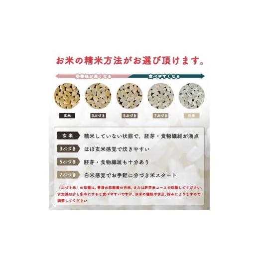 ふるさと納税 米 あきたこまち 秋田県 潟上市  定期便6回 白米 秋田県産 あきたこまち5kg×6か月 白米 秋田県産 あきたこまち5kg×6か月_7