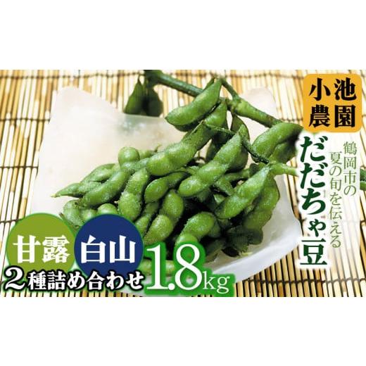 ふるさと納税 豆類 枝豆 山形県 鶴岡市 令和8年産先行予約 鶴岡の夏の旬を伝える 小池農園のだだちゃ豆 2種詰め合せ 1.8Kg(900g×2袋)K-832