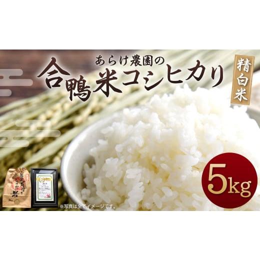 ふるさと納税 熊本県 人吉市 [令和5年産]あらけ農園の合鴨米 コシヒカリ 精白米 5kg